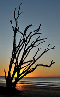 Dawn at Botany Bay